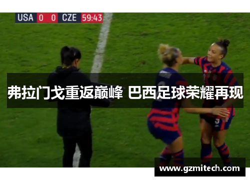 弗拉门戈重返巅峰 巴西足球荣耀再现