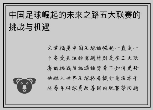 中国足球崛起的未来之路五大联赛的挑战与机遇