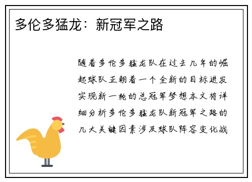 多伦多猛龙：新冠军之路